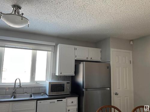 1181 68 Street Nw, Edmonton, AB - Indoor Photo Showing Kitchen With Double Sink