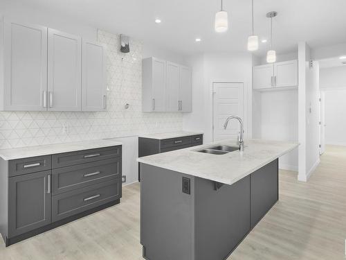 3344 169 Street, Edmonton, AB - Indoor Photo Showing Kitchen With Double Sink With Upgraded Kitchen