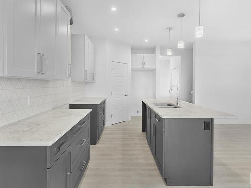 3344 169 Street, Edmonton, AB - Indoor Photo Showing Kitchen With Double Sink With Upgraded Kitchen