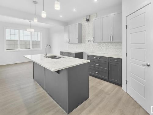 3344 169 Street, Edmonton, AB - Indoor Photo Showing Kitchen With Double Sink With Upgraded Kitchen