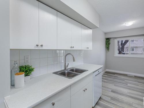 204 Centennial Court Nw, Edmonton, AB - Indoor Photo Showing Kitchen With Double Sink