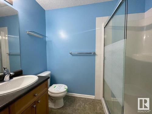 213 15211 139 Street, Edmonton, AB - Indoor Photo Showing Bathroom