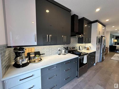 8420 117 Street, Edmonton, AB - Indoor Photo Showing Kitchen With Upgraded Kitchen