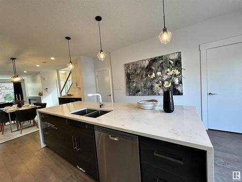 8420 117 Street, Edmonton, AB - Indoor Photo Showing Kitchen With Double Sink With Upgraded Kitchen