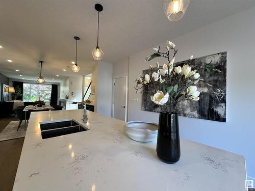 8420 117 Street, Edmonton, AB - Indoor Photo Showing Kitchen With Double Sink