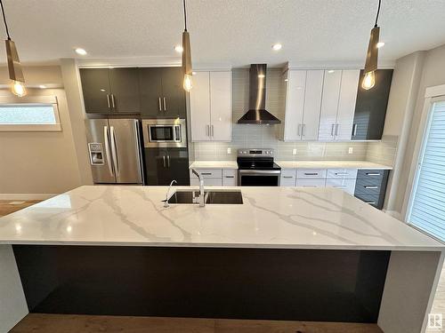 8422 117 Street, Edmonton, AB - Indoor Photo Showing Kitchen With Double Sink With Upgraded Kitchen