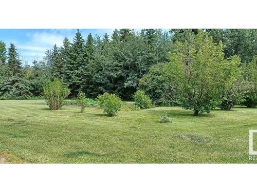 462066 Range Road 262, Rural Wetaskiwin County, AB - Outdoor