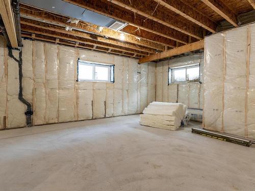 126 Graybriar Drive, Stony Plain, AB - Indoor Photo Showing Basement