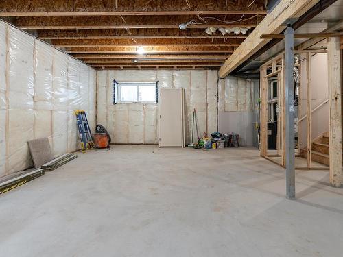 126 Graybriar Drive, Stony Plain, AB - Indoor Photo Showing Basement