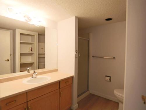 214 18020 95 Avenue, Edmonton, AB - Indoor Photo Showing Bathroom