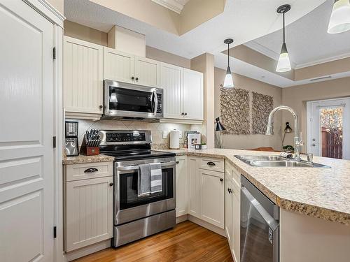 103 10232 115 Street, Edmonton, AB - Indoor Photo Showing Kitchen With Double Sink