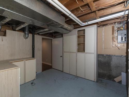 173 Tudor Lane, Edmonton, AB - Indoor Photo Showing Basement