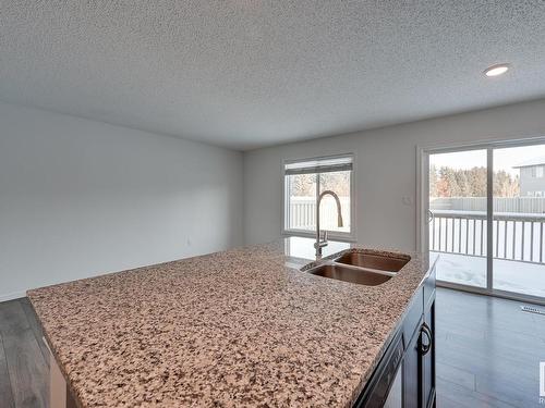 21804 91 Avenue, Edmonton, AB - Indoor Photo Showing Kitchen With Double Sink