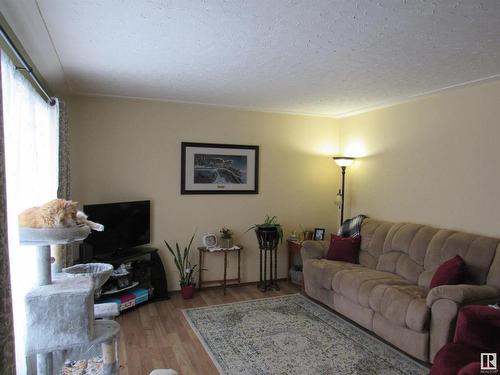 4614 53 Avenue, Barrhead, AB - Indoor Photo Showing Living Room