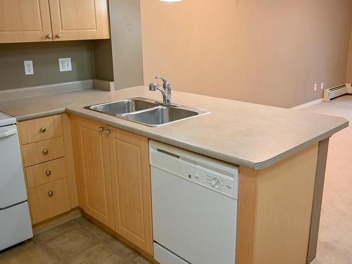 211 616 Mcallister Loop, Edmonton, AB - Indoor Photo Showing Kitchen With Double Sink