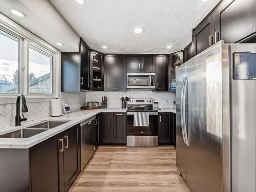 16934 109 Street, Edmonton, AB - Indoor Photo Showing Kitchen With Stainless Steel Kitchen With Double Sink With Upgraded Kitchen