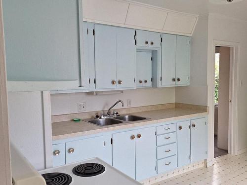 12941 125 Street, Edmonton, AB - Indoor Photo Showing Kitchen With Double Sink