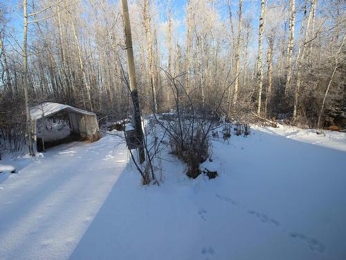 58117 Rge Road 12, Rural Westlock County, AB - Outdoor