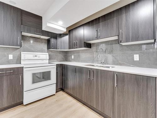 108 Millbourne E Nw, Edmonton, AB - Indoor Photo Showing Kitchen With Double Sink