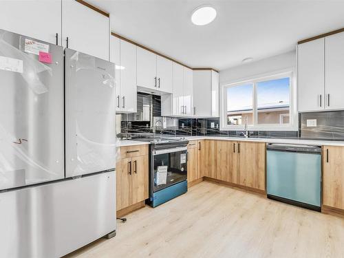 108 Millbourne E Nw, Edmonton, AB - Indoor Photo Showing Kitchen With Double Sink