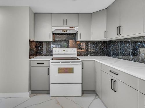 202 Lee Ridge Rd, Edmonton, AB - Indoor Photo Showing Kitchen