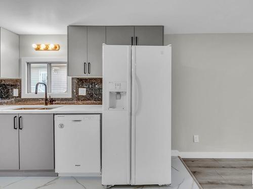 202 Lee Ridge Rd, Edmonton, AB - Indoor Photo Showing Kitchen With Double Sink