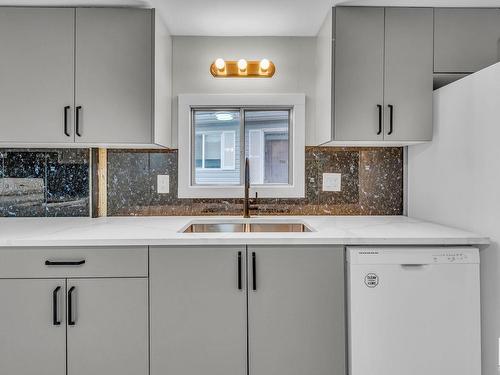 202 Lee Ridge Rd, Edmonton, AB - Indoor Photo Showing Kitchen With Double Sink