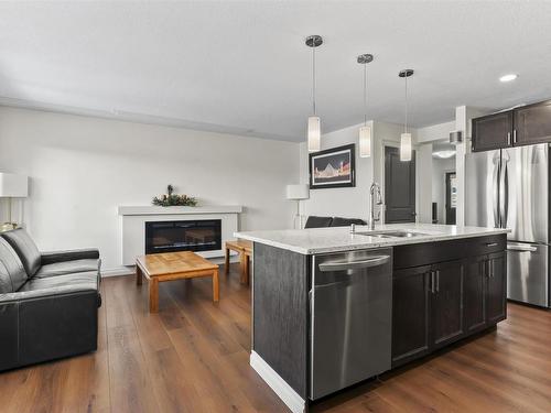 1122 33A Street, Edmonton, AB - Indoor Photo Showing Kitchen With Double Sink With Upgraded Kitchen