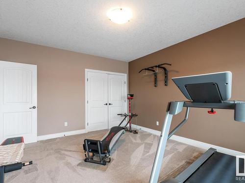 230 Ambleside Drive, Edmonton, AB - Indoor Photo Showing Gym Room