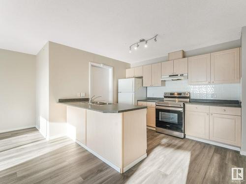 409 592 Hooke Road Nw, Edmonton, AB - Indoor Photo Showing Kitchen With Double Sink