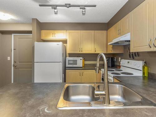 316 11445 Ellerslie Road, Edmonton, AB - Indoor Photo Showing Kitchen With Double Sink