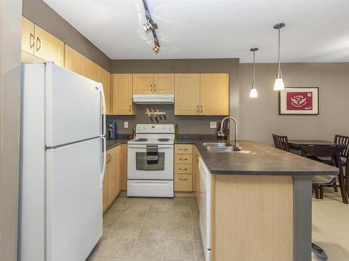 316 11445 Ellerslie Road, Edmonton, AB - Indoor Photo Showing Kitchen With Double Sink