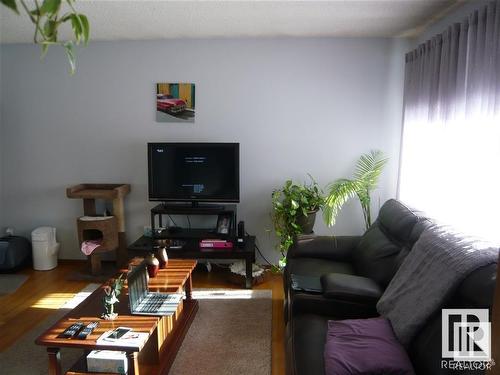 10428 136 Avenue, Edmonton, AB - Indoor Photo Showing Living Room