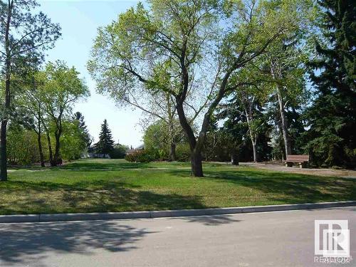 10428 136 Avenue, Edmonton, AB - Outdoor With View