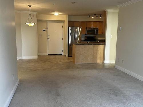 214 13005 140 Avenue, Edmonton, AB - Indoor Photo Showing Kitchen