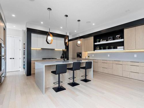 1303 Clement Court, Edmonton, AB - Indoor Photo Showing Kitchen With Upgraded Kitchen