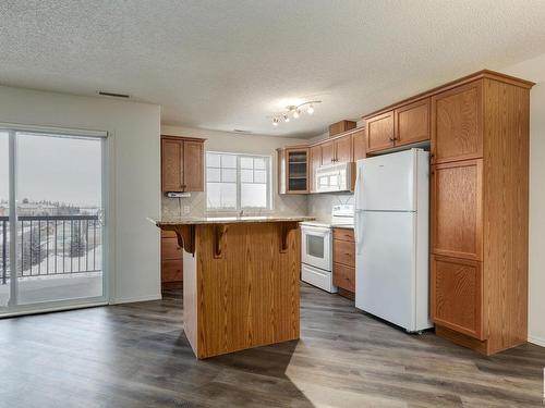 419 2098 Blackmud Creek Drive, Edmonton, AB - Indoor Photo Showing Kitchen