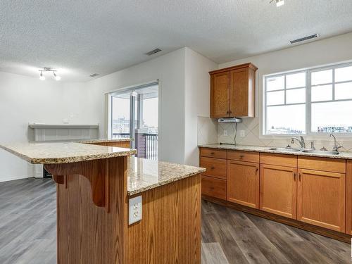 419 2098 Blackmud Creek Drive, Edmonton, AB - Indoor Photo Showing Kitchen With Double Sink