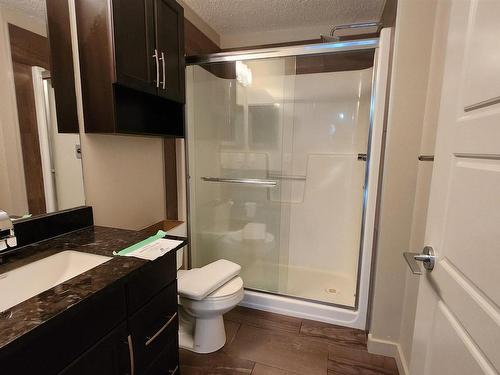 207 5510 Schonsee Drive, Edmonton, AB - Indoor Photo Showing Bathroom