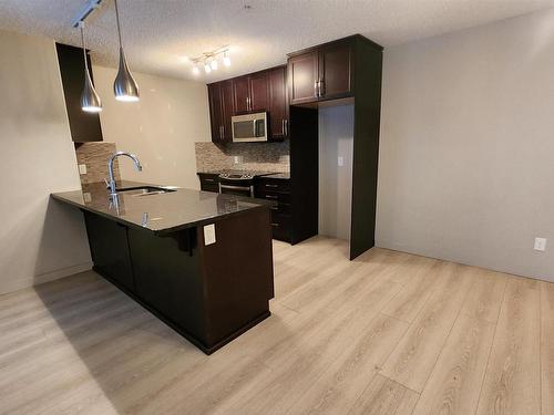 207 5510 Schonsee Drive, Edmonton, AB - Indoor Photo Showing Kitchen