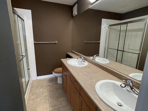 451 2096 Blackmud Creek Drive, Edmonton, AB - Indoor Photo Showing Bathroom