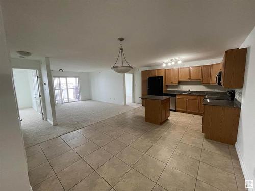 451 2096 Blackmud Creek Drive, Edmonton, AB - Indoor Photo Showing Kitchen