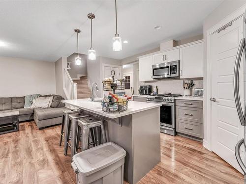 16725 18 Avenue, Edmonton, AB - Indoor Photo Showing Kitchen With Upgraded Kitchen