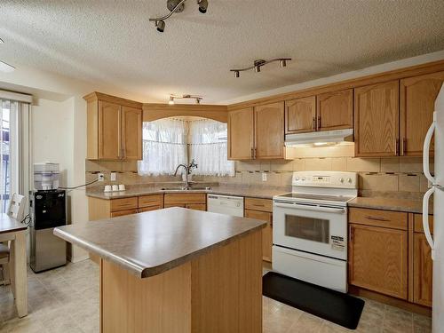 2918 31 Street, Edmonton, AB - Indoor Photo Showing Kitchen