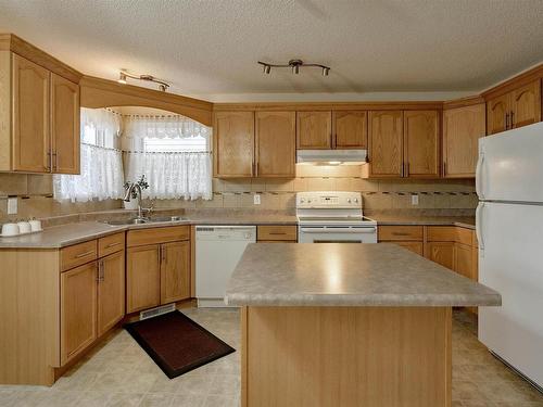 2918 31 Street, Edmonton, AB - Indoor Photo Showing Kitchen With Double Sink