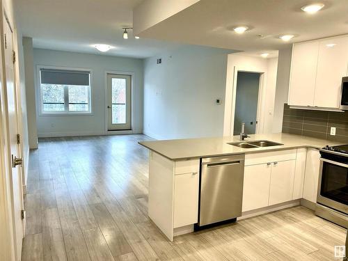 302 8510 90 Street, Edmonton, AB - Indoor Photo Showing Kitchen With Double Sink