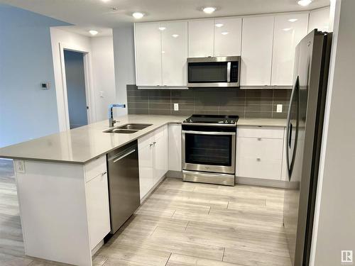 302 8510 90 Street, Edmonton, AB - Indoor Photo Showing Kitchen With Double Sink With Upgraded Kitchen