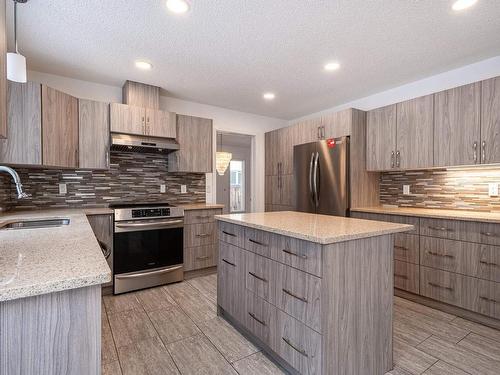 232 Ockenden Place, Edmonton, AB - Indoor Photo Showing Kitchen With Stainless Steel Kitchen With Upgraded Kitchen