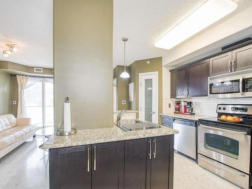 201 9707 106 Street, Edmonton, AB - Indoor Photo Showing Kitchen With Stainless Steel Kitchen With Double Sink With Upgraded Kitchen