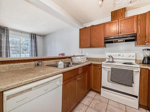 13852 37 Street, Edmonton, AB - Indoor Photo Showing Kitchen With Double Sink